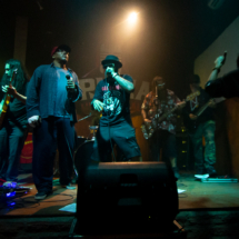 Show_10