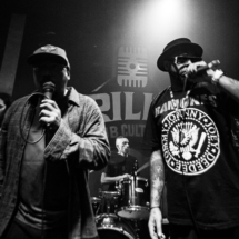 Show_113