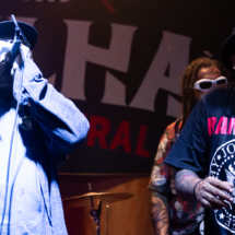 Show_15