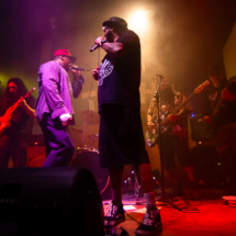 Show_20
